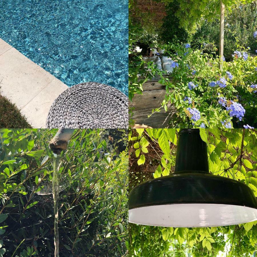 B&B Mas De Caustes Saint-Rémy-de-Provence Dış mekan fotoğraf