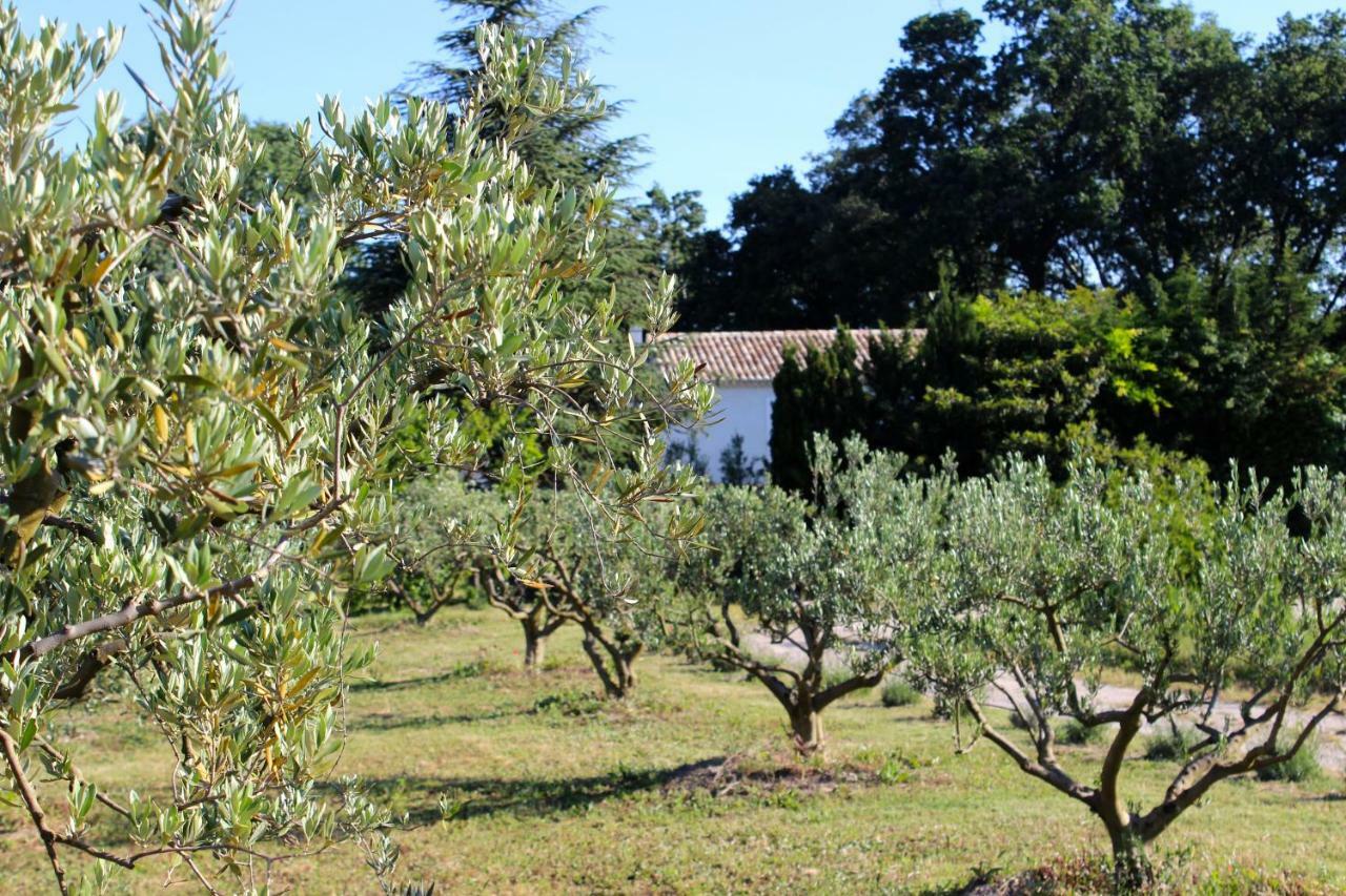 B&B Mas De Caustes Saint-Rémy-de-Provence Dış mekan fotoğraf