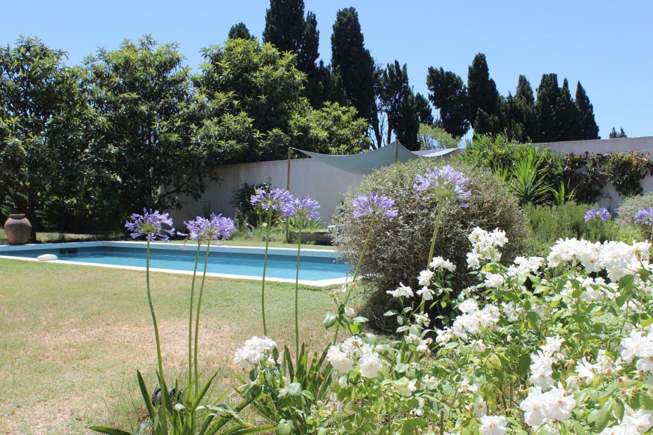 B&B Mas De Caustes Saint-Rémy-de-Provence Dış mekan fotoğraf