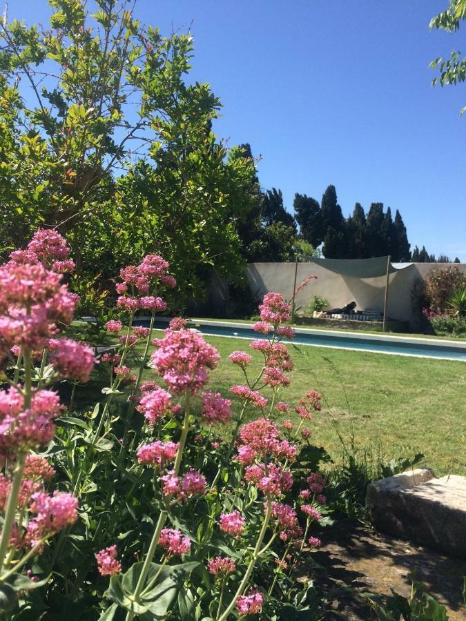 B&B Mas De Caustes Saint-Rémy-de-Provence Dış mekan fotoğraf
