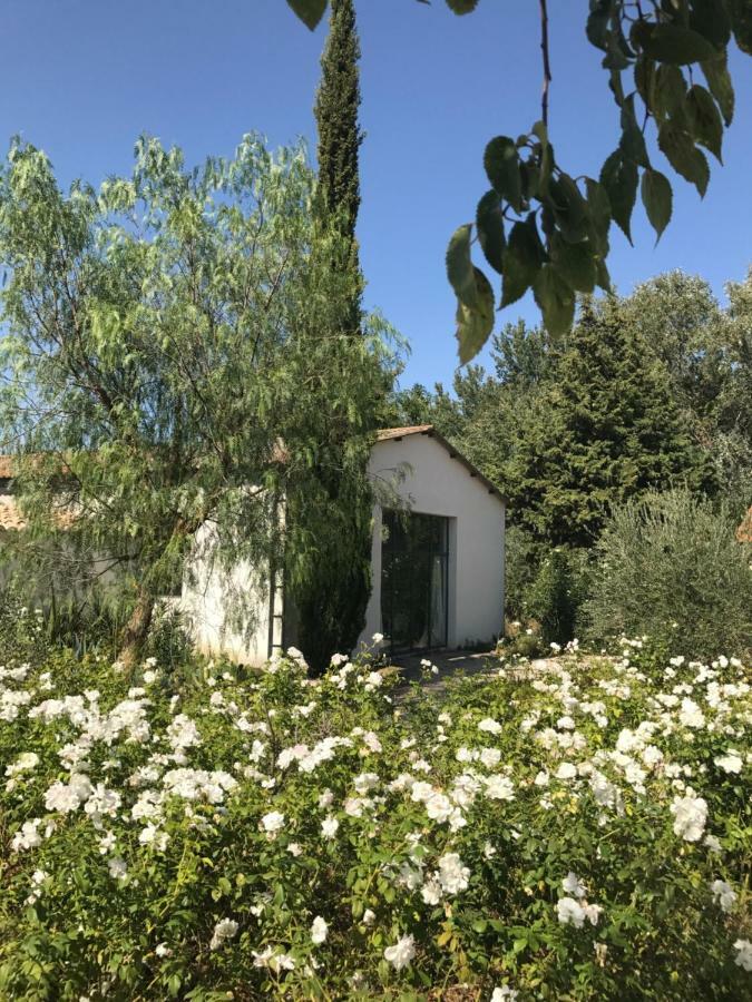 B&B Mas De Caustes Saint-Rémy-de-Provence Dış mekan fotoğraf