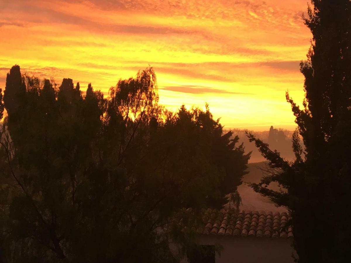 B&B Mas De Caustes Saint-Rémy-de-Provence Dış mekan fotoğraf