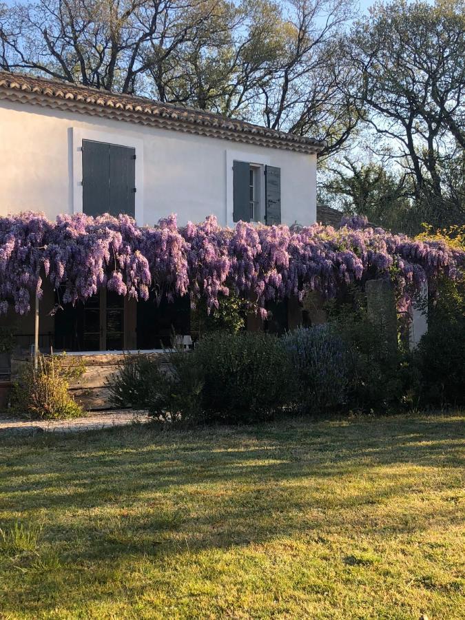 B&B Mas De Caustes Saint-Rémy-de-Provence Dış mekan fotoğraf